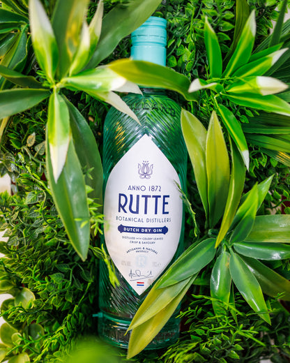 Dutch Dry Gin
