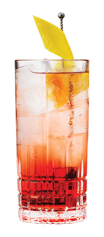 Sloe Gin & Tonic